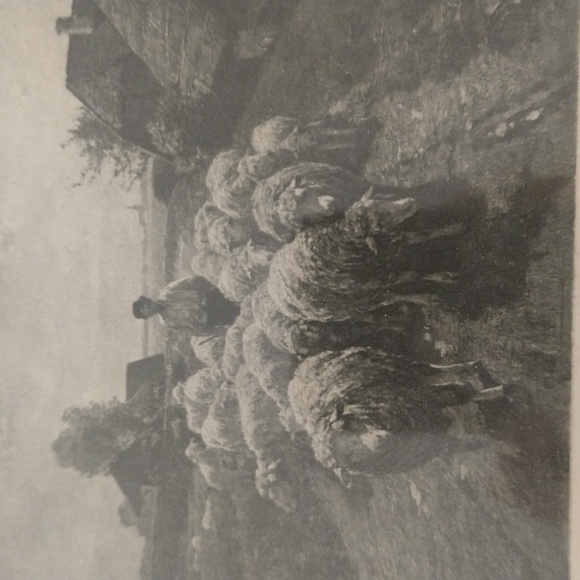 Antique framed lithograph gravure German pastoral print sheep Hanfstaengi 15x 19 - Picture 3 of 8